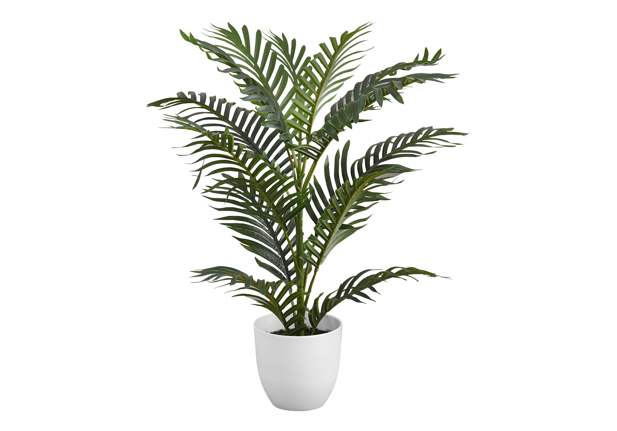 PALM image 1