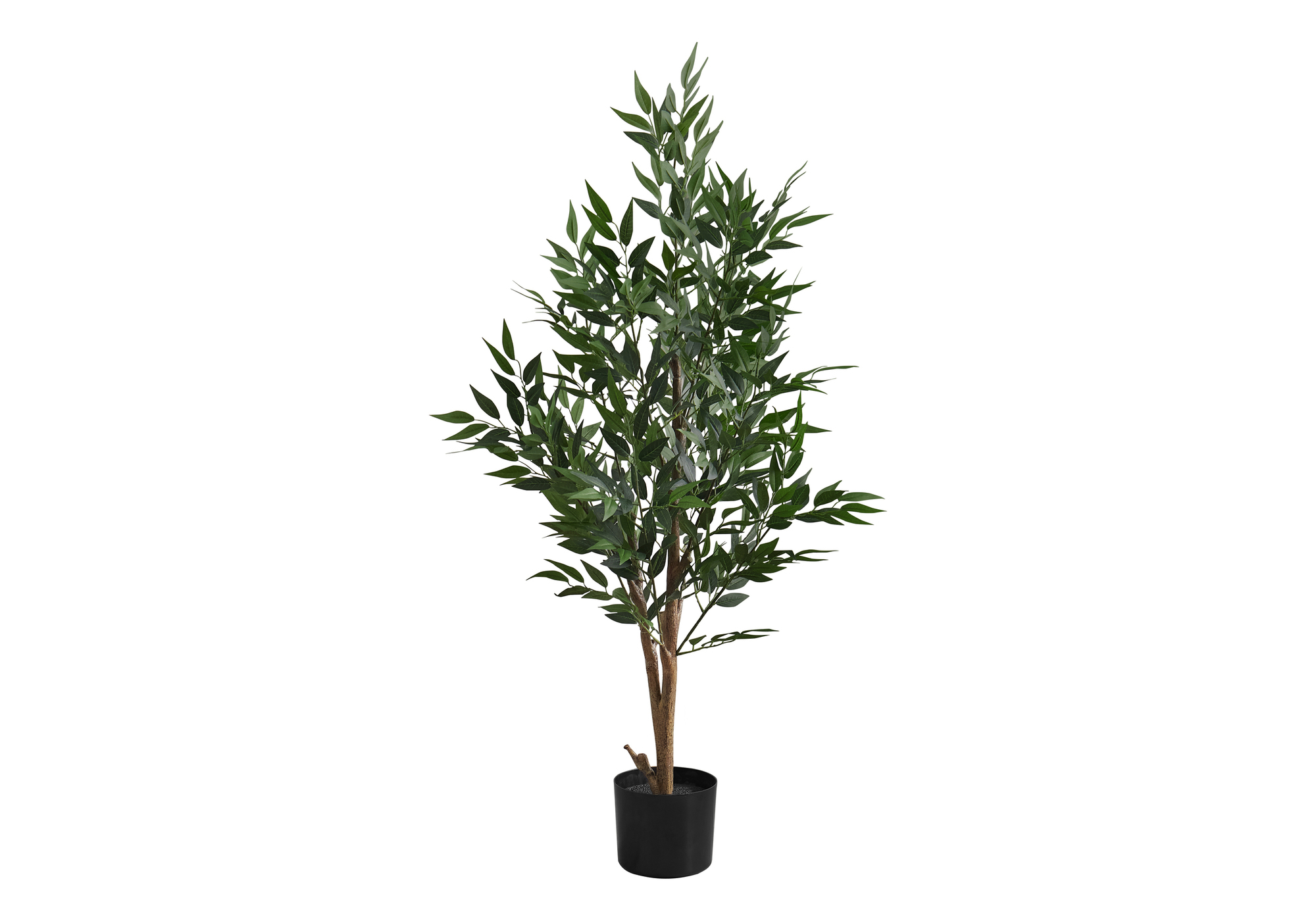ACACIA TREE image 1
